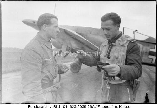 Frankreich, Flugzeug Fw 190, Piloten