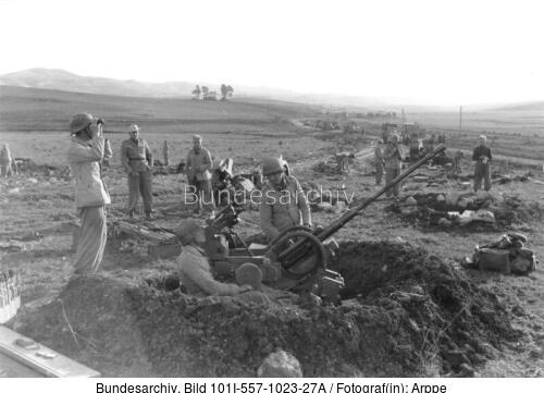 Tunesien, Flakstellung auf Feld