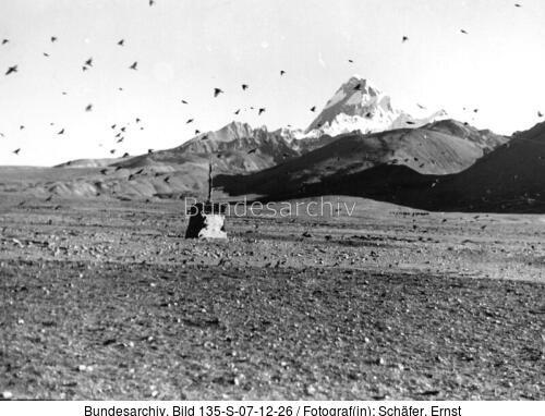 Tibetexpedition, Landschaftsaufnahme, Schneefinken