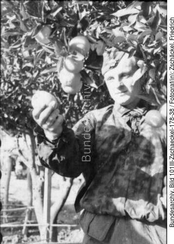 Frankreich, Angehöriger der Waffen-SS