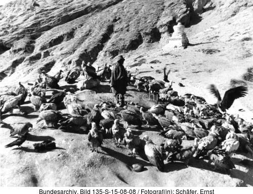 Tibetexpedition, Himmelsbestattung, Geier