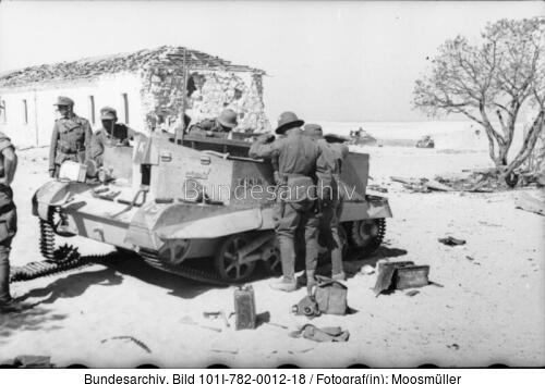 Nordafrika, zerstörter britischer Schützenpanzer