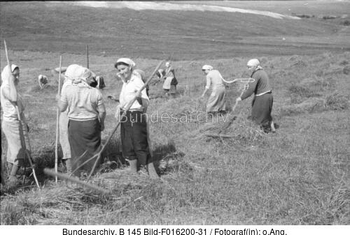 Russland, Bäuerinnen bei der Ernte