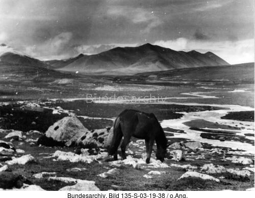 Tibetexpedition, Landschaftsaufnahme mit Pferd