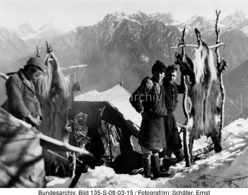 Tibetexpedition, Expeditionslager, Schapifelle