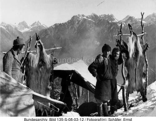 Tibetexpedition, Expeditionslager, Schapifelle