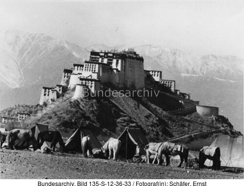 Tibetexpedition, Lhasa, Potala von Osten