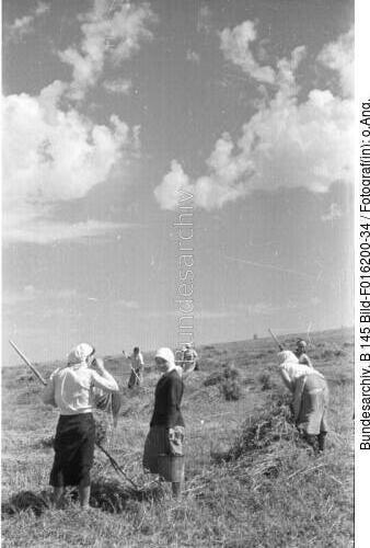 Russland, Bäuerinnen bei der Ernte