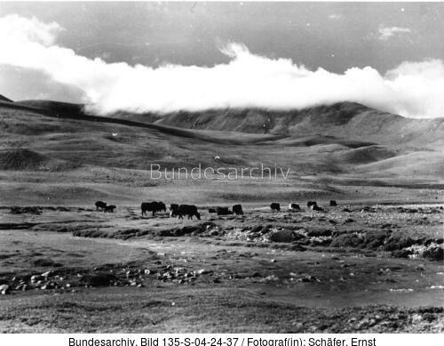 Tibetexpedition, Landschaftsaufnahme