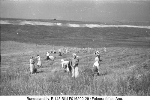 Russland, Bäuerinnen bei der Ernte