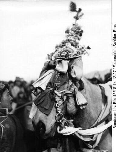 Tibetexpedition, Neujahrsfest, Geschmücktes Pferd