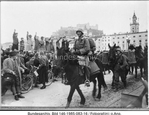 Anschluss Österreich, Salzburg