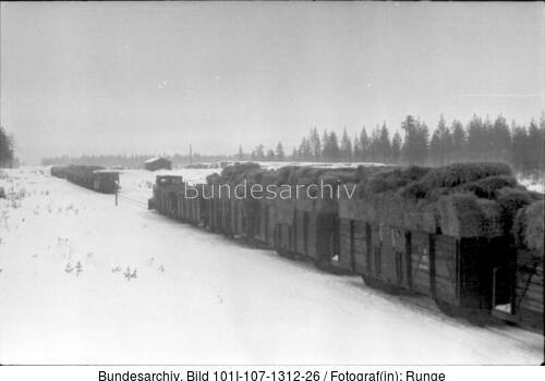 Finnland, Feldbahn im Schnee