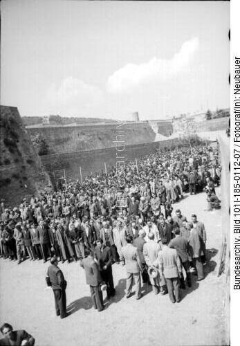 Belgrad, Erfassung von Juden