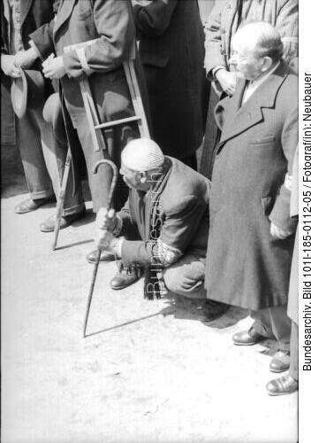 Belgrad, Erfassung von Juden