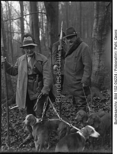Springe, Wildschweinjagd, Göring, Heck
