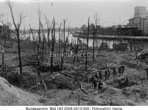 Danzig, Westerplatte, Wald