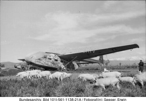 Grosseto, Lastensegler Gotha Go 242, Schweineherde