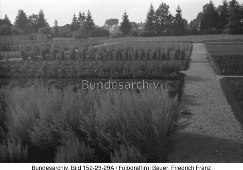 KZ Dachau, Kräutergarten