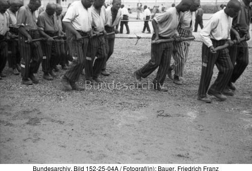 KZ Dachau, Häftlinge bei Arbeit, Walze