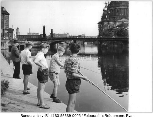 Berlin, Spree, Angler