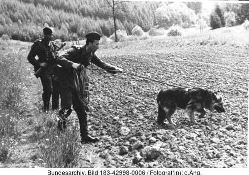 Grenzpolizei der DDR, Streife mit Fährtenhund