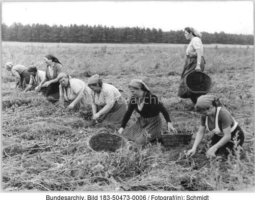 Abgeordnete der Gemeinde bei der Feldarbeit