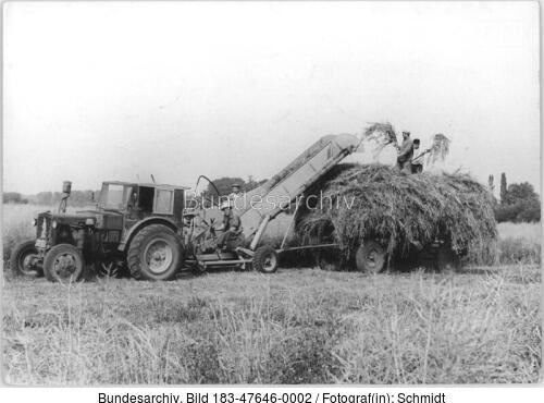 Leipniz, Grünfutterernte mit Mählader