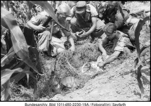 Italien, Fallschirmjäger im Maisfeld