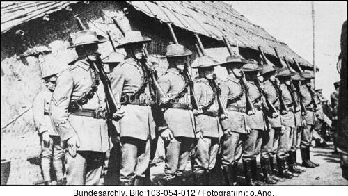 Tsingtau, Kriegsfreiwillige