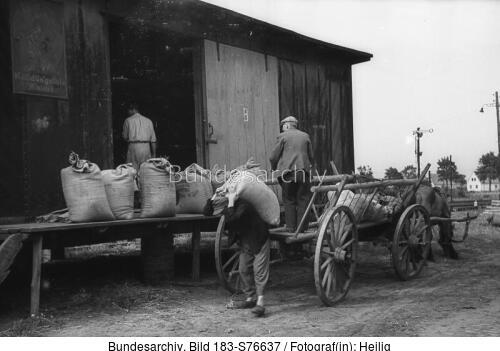 Nonnhausen / Westhavelland, Ernteablieferung
