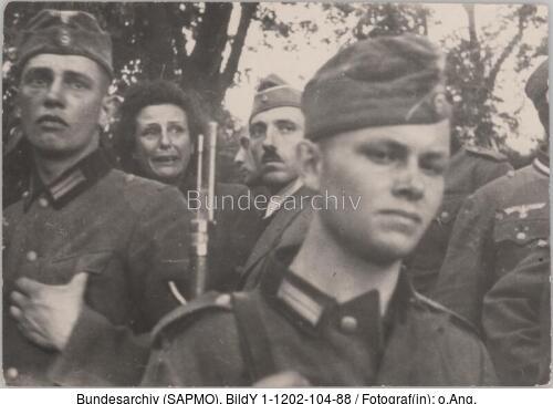 Konskie, Leni Riefenstahl