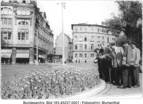 Erfurt, Grünanlage