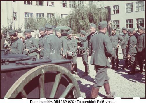 Mähren, Nachschub-Kolonnen-Abteilung