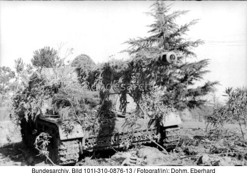 Italien, getarnter Panzerjäger <span class="match">Nashorn</span>/Hornisse