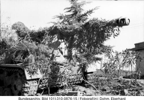 Italien, getarnter Panzerjäger <span class="match">Nashorn</span>/Hornisse