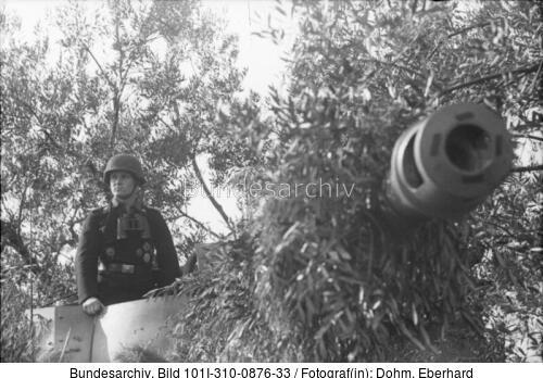 Italien, getarnter Panzerjäger <span class="match">Nashorn</span>/Hornisse