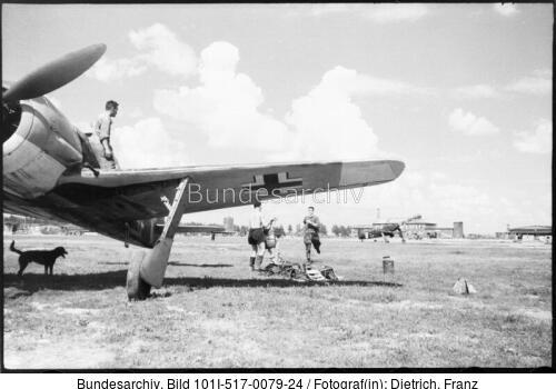 Im Osten, Flugzeug Focke-Wulf Fw 190