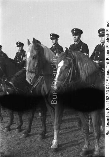 Mannheim, Besuch Heinrich Himmler, Reiter-SS