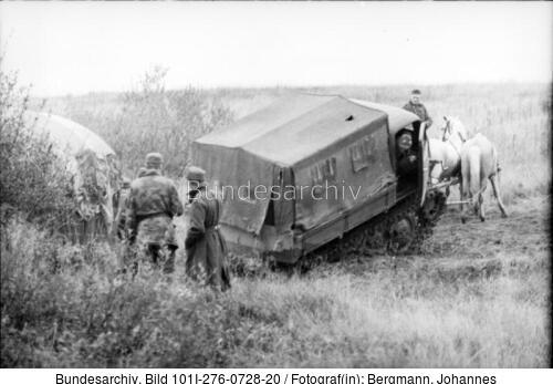 Russland, Raupenschlepper Ost, Pferde