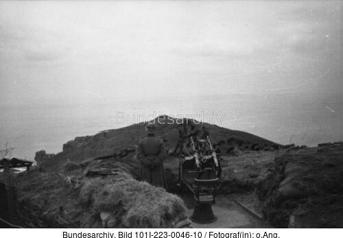 Guernsey, Zwillings-Fla-MG