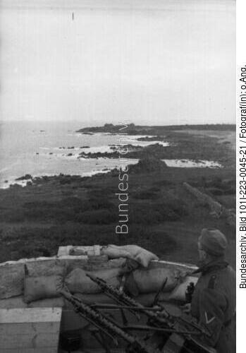 Guernsey, Zwillings-Fla-MG