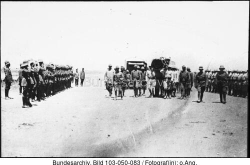Mesopotamien, Colmar v. d. Goltz, Sarg