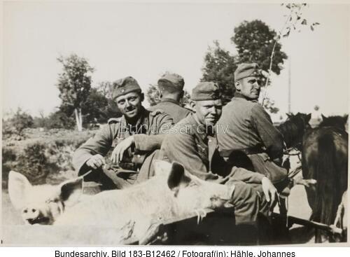 Ukraine, Transport von Schweinen