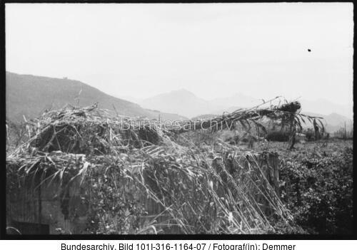 Italien, Küstenbefestigungen, getarnter Panzer V