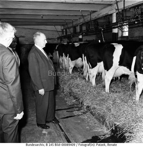 BM Werner Schwarz 1961
