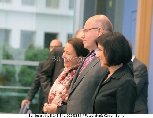BM Peter Altmaier 2012