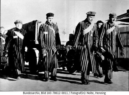 KZ Sachsenhausen, Häftlinge vor Wagen