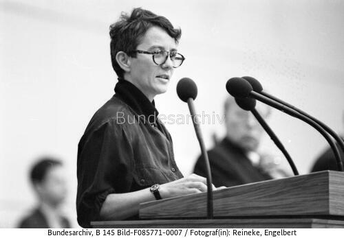 Bonn, Bundesratsitzung, Wiedervereinigung, Klein