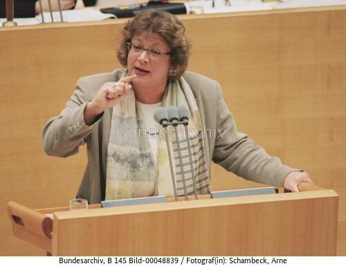 Bundestagssitzung zur Wirtschafts- Finanz- und Außenpolitik / Rede BM Fischer